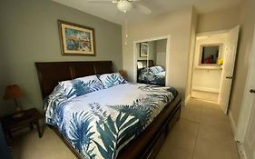 Beautiful Apartment In Tampa-A