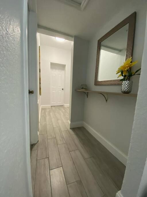 Beautiful Apartment In Tampa-A Exterior photo